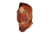 Mojo Sportswear Company Finja Faceguard - Mens, Redfish, One Size Redfish - One- Finja Faceguard