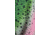 Mojo Sportswear Company Performance Hoodie - Mens, Rainbow Trout, Small, RBW Trout - S - PRF Hoodie
