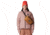 Mountain Hardwear Camp 4 Hip Pack, Copper Clay, O/S, 2095261-257-O/S