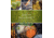 Mountaineers Books Dirty Gourmet 9781680511291