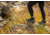 Muck Boots Apex Lace Up Boots - Womens, Black, 12, AXWL-000-BLK-120