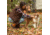 Muck Boots Originals Duck Lace Boot - Women's, 6 US, Medium, Tan/Dark Brown, ODLW-902-TAN-060