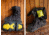 Neos Voyager Glacier Trek Spike Overshoes, Black, M, VNG1-BLK-MED