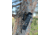 NIGHT PEARL STRIX 19 PRO Thermal Monocular, 1.8-14.4x19mm, 50 Hz, 384x288 pixels, Black, 2NPSTRIX19PRO