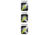 Nightstick Intrinsically Safe Permissible Dual-Light 3AA Flashlight,120 Lumens,Green XPP-5422G