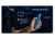 Nitecore TrailSight 1200 Lumens 18650 Rechargeable Li-Ion LED Waist-Level Trail Running Flashlight