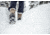 Oboz Bridger 7in Insulated B-DRY Winter Shoes - Womens, Chipmunk, 9, Wide, 82202-Chipmunk-Wide-9
