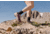 Oboz Katabatic RT Low GTX Hiking Shoes - Womens