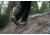 Oboz Sawtooth Ascent Low Hiking Shoes - Mens