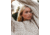 Ok Womens The Big Softie, 2420041-OML-XX-XL/X