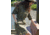 Ok Womens The Traveler Shirt Dress - FINAL SALE, 2110143-OLN-XX-S