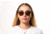 OTIS LITTLE LIES Sunglasses - Womens, Matte Dark Tort/Brown Polar, 56-17-140, 20-1801P