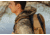 Peak Design 30 Liters Travel Backpack, Coyote, BTR-30-CY-3