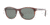 Persol PO3042S Progressive Prescription Sunglasses PO3042S-24-31-5117 - Lens Diameter 51 mm, Frame Color Havana