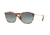 Persol PO3124S Progressive Prescription Sunglasses PO3124S-105971-50 - Lens Diameter 50 mm, Frame Color Pink Havana-brown