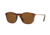 Persol PO3124S Progressive Prescription Sunglasses PO3124S-24-57-50 - Lens Diameter 50 mm, Frame Color Havana