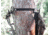 Pine Ridge Archery Hunt-n-Gear Hanger, Black, 2530
