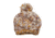 prAna Frosty Hat - Women's-Sunray