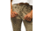 prAna Halle Straight Pant II - Womens, Tall Inseam, Sandbar, 14, 1971031-250-TL-14