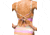prAna Mallorca One Piece - Womens, Waves, XS, 2064431-962-XS