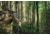 Primos Hunting Trigger Stick Gen 3 Jim Shockey Tall Tripod,24-62in,Truth Camo,Clam, 65815
