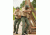 PROPPER Summerweight Tactical Pants, Olive Green, 28X37 F52583C33028X37