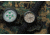 ProTek 3100 Titainum USMC Field Watch