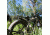 QuietKat Ambush 750W Electric Bike, w/ Mid-Drive Motor, Chain Drive, 8 Speed, Suspension Fork, Mechanical Disc Brakes, Camo, One Size Fits Most, 18QKM750CCHM-CAM