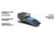 Quiqlite QuiqLiteX1 LED Light, Blue/White, QL-QX1BW3