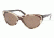 Ralph Lauren RL8070 Bifocal Sunglasses - Zebra-Havana Brown Frame / 56 mm Prescription Lenses, 529873-5618