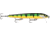 Rapala Original Floater Elite 120 Jig, Gilded Perch, FE120GDP