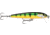 Rapala Original Floater Elite 85 Jig, Gilded Perch, FE85GDP