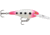 Rapala Shad Rap 08 Lure, Glow Pink Squirrel, SR08GPSQ