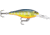 Rapala Shad Rap Crankbait, 3 1/8in, 3/8 oz, Floating, Hot Steel, SR08HS