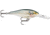 Rapala Shad Rap Crankbait, 3 1/8in, 3/8 oz, Floating, Shad, SR08SD