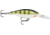 Rapala Shad Rap Crankbait, 3 1/8in, 3/8 oz, Floating, Yellow Perch, SR08YP