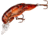 Rebel Lures Rebel Deep Teeny Wee Crawfish Lure, 1 1/2in, 1/9oz, Floating, Brown, D7775