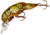 Rebel Lures Rebel Deep Teeny Wee Crawfish Lure, 1 1/2in, 1/9oz, Floating, Stream Crawfish, D7760