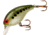 Rebel Lures Rebel Super Teeny Wee-R Crankbait, 1 1/2in, 1/8 oz, Floating, Bass Floating, F91478V