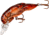 Rebel Lures Rebel Teeny Wee Crawfish Bait 1 1/2in, 1/10 oz, Floating, Brown, F7775