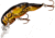 Rebel Lures Rebel Teeny Wee Crawfish Bait 1 1/2in, 1/10 oz, Floating, Moss Crawfish, F7784