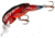Rebel Lures Rebel Teeny Wee Crawfish Bait 1 1/2in, 1/10 oz, Floating, Nest Robber, F7765