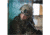 Revision Sawfly Eyewear Basic Photochromic Kit, Black Frame, Small, 4-0076-9628