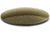 Revision Speed Demon Sunglasses Replacement Lenses, Alto