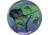 River's Edge Guy Harvey Sailfish Glass Platter, 12in 4013499