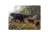 Rivers Edge Cutting Board, Assorted Bear, 12 x 16 in, 784