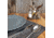 Rivers Edge Salt and Pepper Shakers, Eagle, 545
