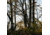 Rivers Edge Treestands Standard 2-man Ladder Stand, Black RE640