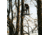 Rivers Edge Treestands Standard 2-man Ladder Stand, Black RE640