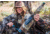Rocky Mountain Hunting Calls Wild Frenzy Kristy Titus Signature Series Bugle Tube, 132